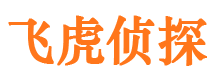 曲阳侦探